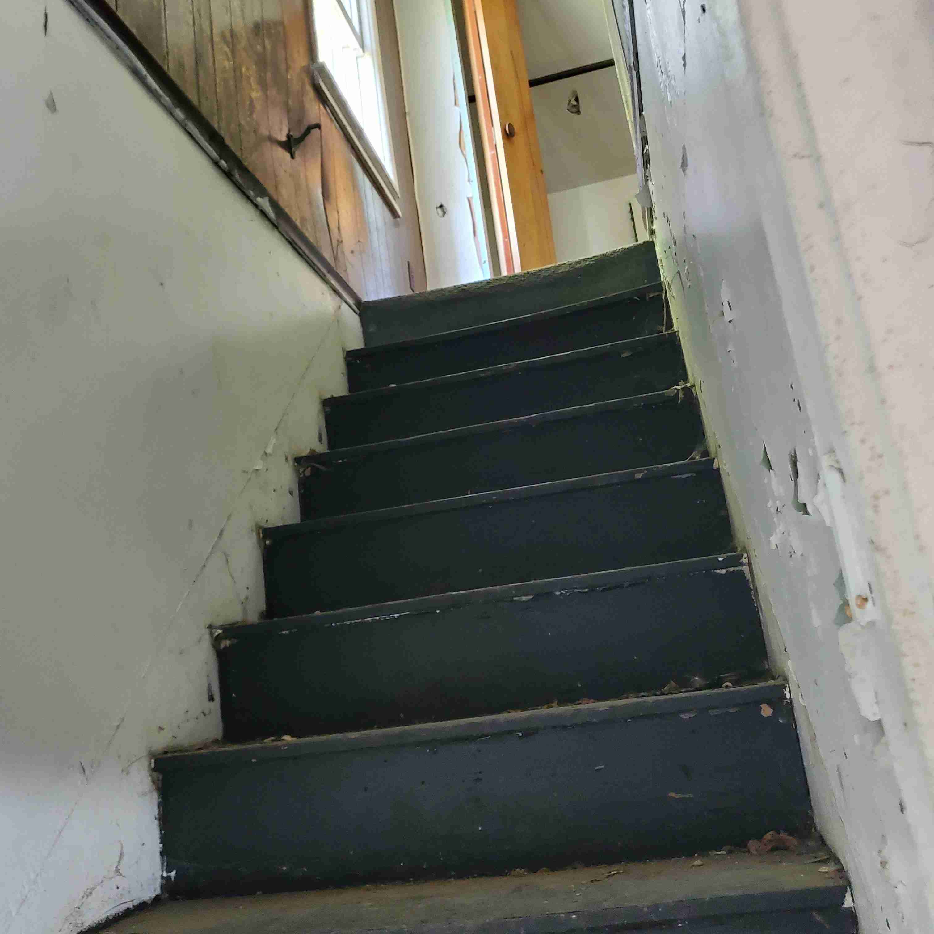 20200812_154310 (2).jpg